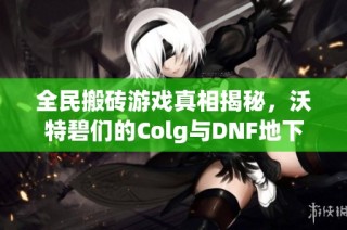 全民搬砖游戏真相揭秘，沃特碧们的Colg与DNF地下的深度分析