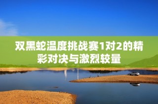 双黑蛇温度挑战赛1对2的精彩对决与激烈较量