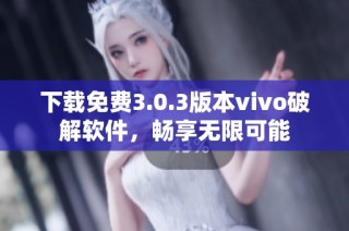 下载免费3.0.3版本vivo破解软件，畅享无限可能