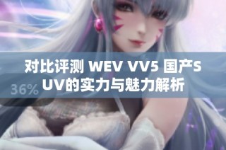 对比评测 WEV VV5 国产SUV的实力与魅力解析