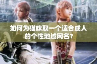 如何为猫咪取一个适合成人的个性地域网名？