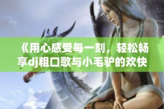 《用心感受每一刻，轻松畅享dj粗口歌与小毛驴的欢快旅程》