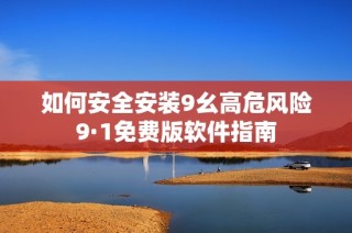 如何安全安装9幺高危风险9·1免费版软件指南