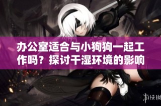 办公室适合与小狗狗一起工作吗？探讨干湿环境的影响