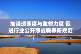 加强透明度与监督力度 促进行业公开惩戒教养所规范发展