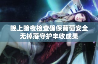 晚上暗夜检查确保葡萄安全无掉落守护丰收成果