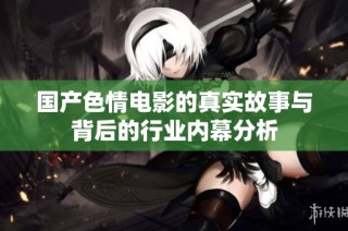 国产色情电影的真实故事与背后的行业内幕分析