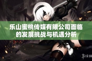 乐山蜜桃传媒有限公司面临的发展挑战与机遇分析