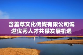 含羞草文化传媒有限公司诚邀优秀人才共谋发展机遇