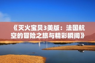 《灭火宝贝3美版：法国航空的冒险之旅与精彩瞬间》