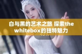 白与黑的艺术之旅 探索thewhitebox的独特魅力