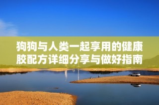 狗狗与人类一起享用的健康胶配方详细分享与做好指南