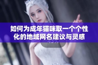 如何为成年猫咪取一个个性化的地域网名建议与灵感