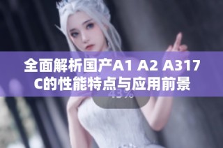 全面解析国产A1 A2 A317C的性能特点与应用前景