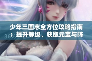 少年三国志全方位攻略指南：提升等级、获取元宝与阵容搭配技巧解析