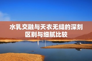 水乳交融与天衣无缝的深刻区别与细腻比较