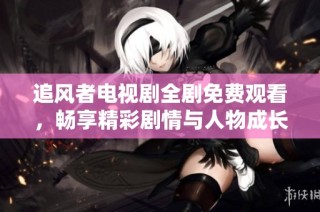 追风者电视剧全剧免费观看，畅享精彩剧情与人物成长
