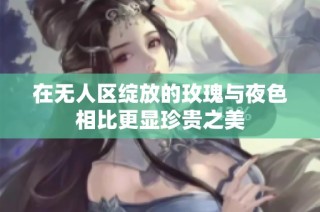在无人区绽放的玫瑰与夜色相比更显珍贵之美