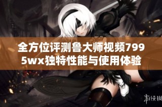 全方位评测鲁大师视频7995wx独特性能与使用体验
