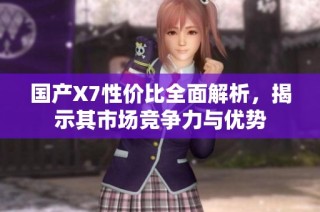 国产X7性价比全面解析，揭示其市场竞争力与优势