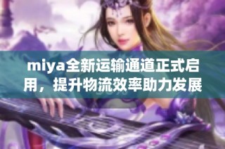 miya全新运输通道正式启用，提升物流效率助力发展