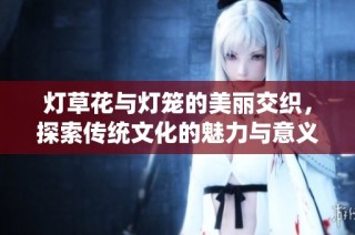 灯草花与灯笼的美丽交织，探索传统文化的魅力与意义