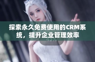 探索永久免费使用的CRM系统，提升企业管理效率