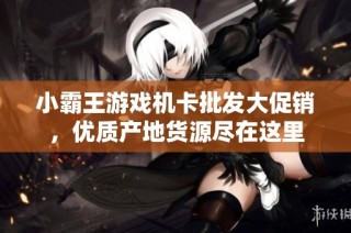 小霸王游戏机卡批发大促销，优质产地货源尽在这里