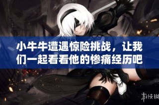 小牛牛遭遇惊险挑战，让我们一起看看他的惨痛经历吧！