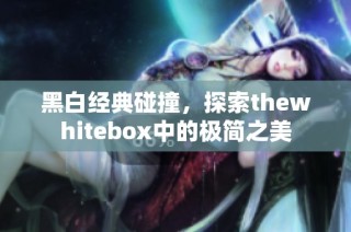 黑白经典碰撞，探索thewhitebox中的极简之美
