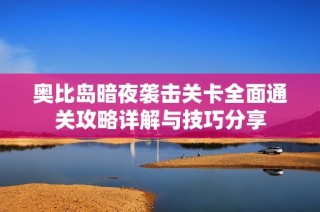 奥比岛暗夜袭击关卡全面通关攻略详解与技巧分享