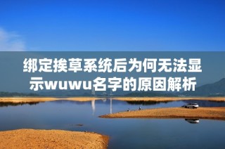 绑定挨草系统后为何无法显示wuwu名字的原因解析