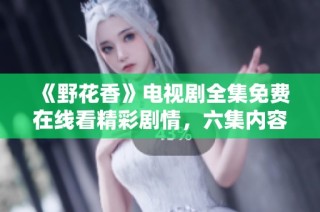 《野花香》电视剧全集免费在线看精彩剧情，六集内容全解析