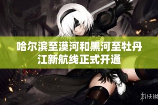 哈尔滨至漠河和黑河至牡丹江新航线正式开通