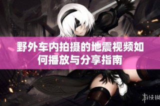 野外车内拍摄的地震视频如何播放与分享指南