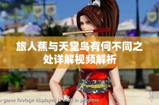 旅人蕉与天堂鸟有何不同之处详解视频解析
