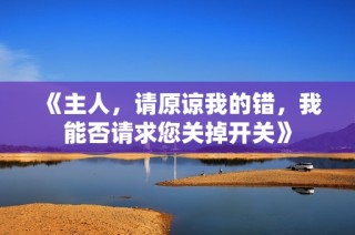 《主人，请原谅我的错，我能否请求您关掉开关》