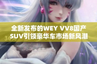 全新发布的WEY VV8国产SUV引领豪华车市场新风潮