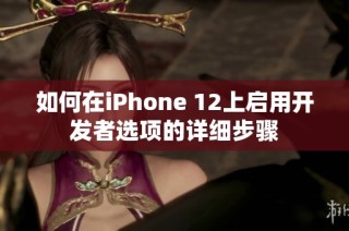 如何在iPhone 12上启用开发者选项的详细步骤