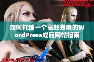 如何打造一个高效易用的WordPress成品网站指南