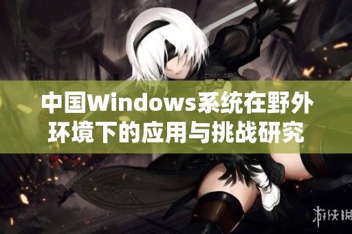 中国Windows系统在野外环境下的应用与挑战研究