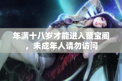 年满十八岁才能进入藏宝阁，未成年人请勿访问