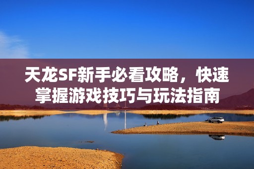 天龙SF新手必看攻略，快速掌握游戏技巧与玩法指南
