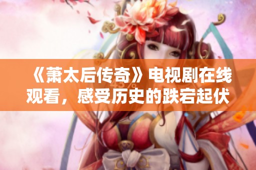 《萧太后传奇》电视剧在线观看，感受历史的跌宕起伏与权谋智慧