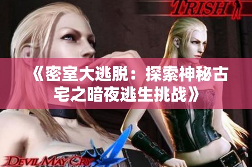 《密室大逃脱：探索神秘古宅之暗夜逃生挑战》