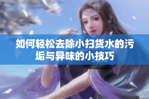 如何轻松去除小扫货水的污垢与异味的小技巧