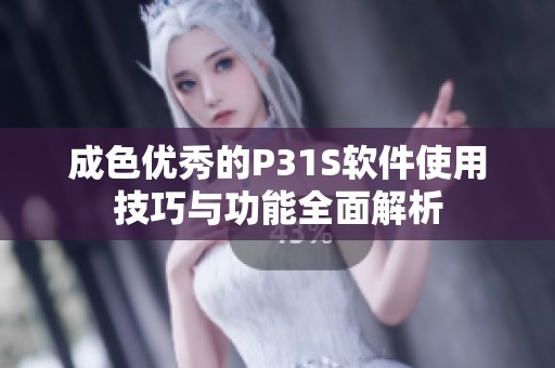 成色优秀的P31S软件使用技巧与功能全面解析