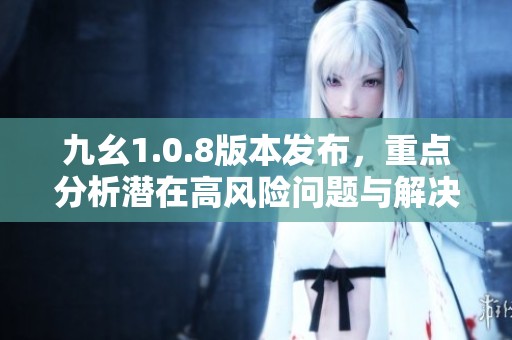 九幺1.0.8版本发布，重点分析潜在高风险问题与解决方案