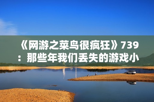 《网游之菜鸟很疯狂》739：那些年我们丢失的游戏小伙伴们