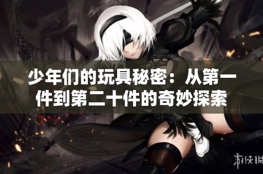 少年们的玩具秘密：从第一件到第二十件的奇妙探索